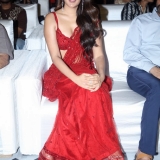 The Rajasaab Pre-Release Party