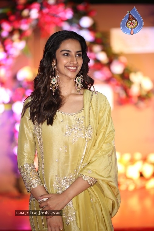 Meenakshi Chaudhary Photos - 19 / 19 photos