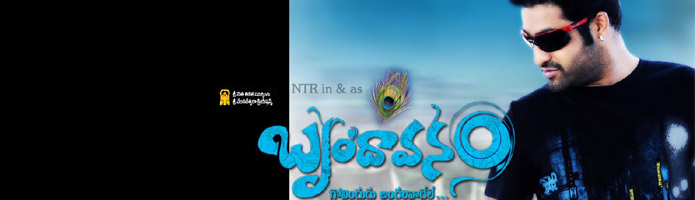 Brindavanam Movie Review First on Net