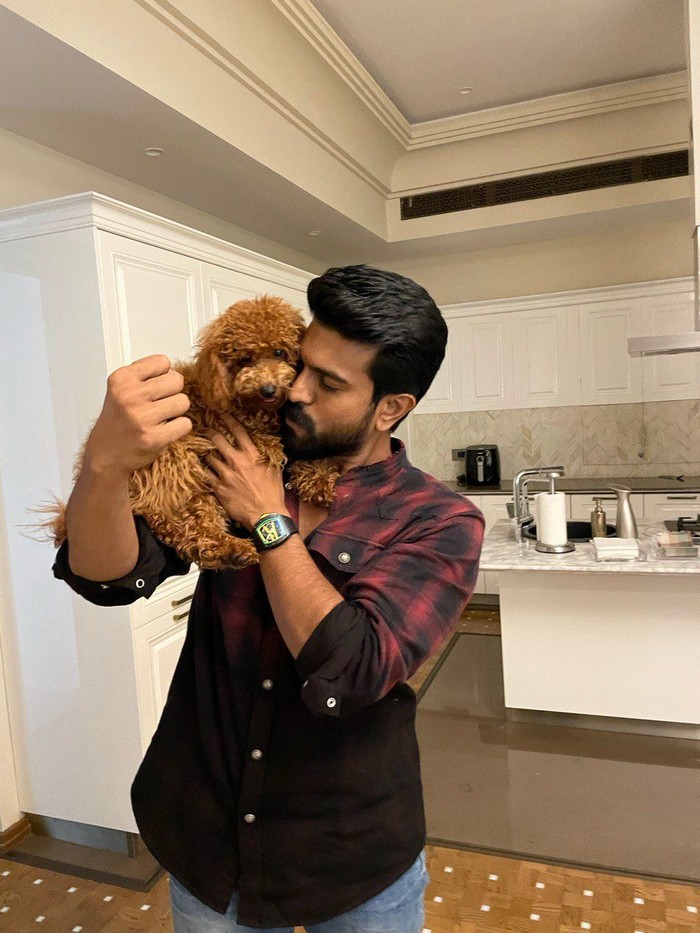 ram charan,new pet,rhyme,dog,charan