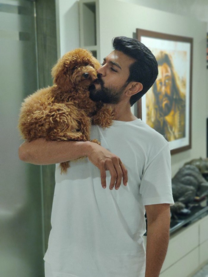 ram charan,new pet,rhyme,dog,charan